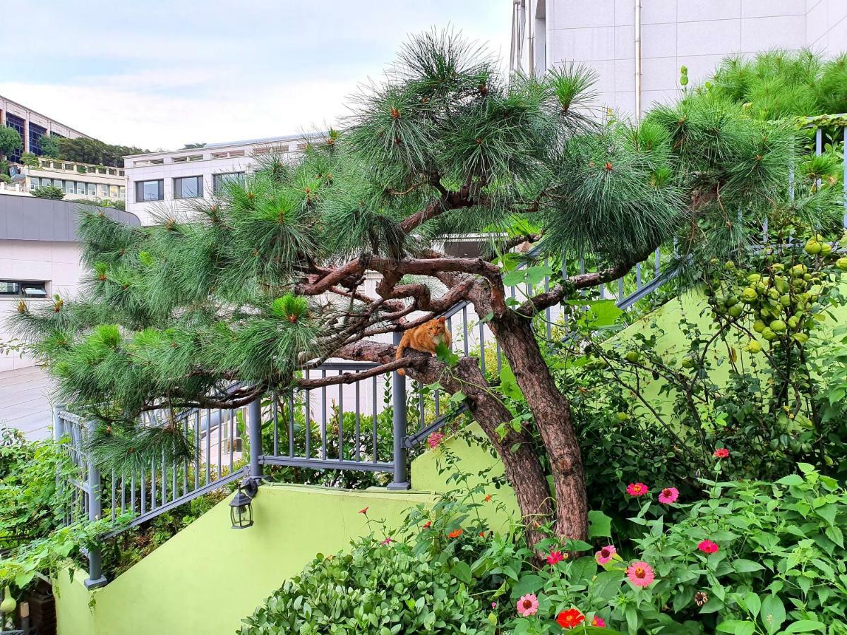Happy Garden Guesthouse Seul Exterior foto